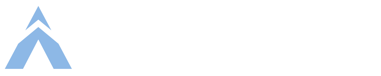 Agency Cyber